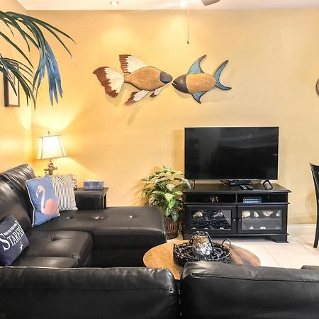 Kingfisher South Padre Island Luaran gambar